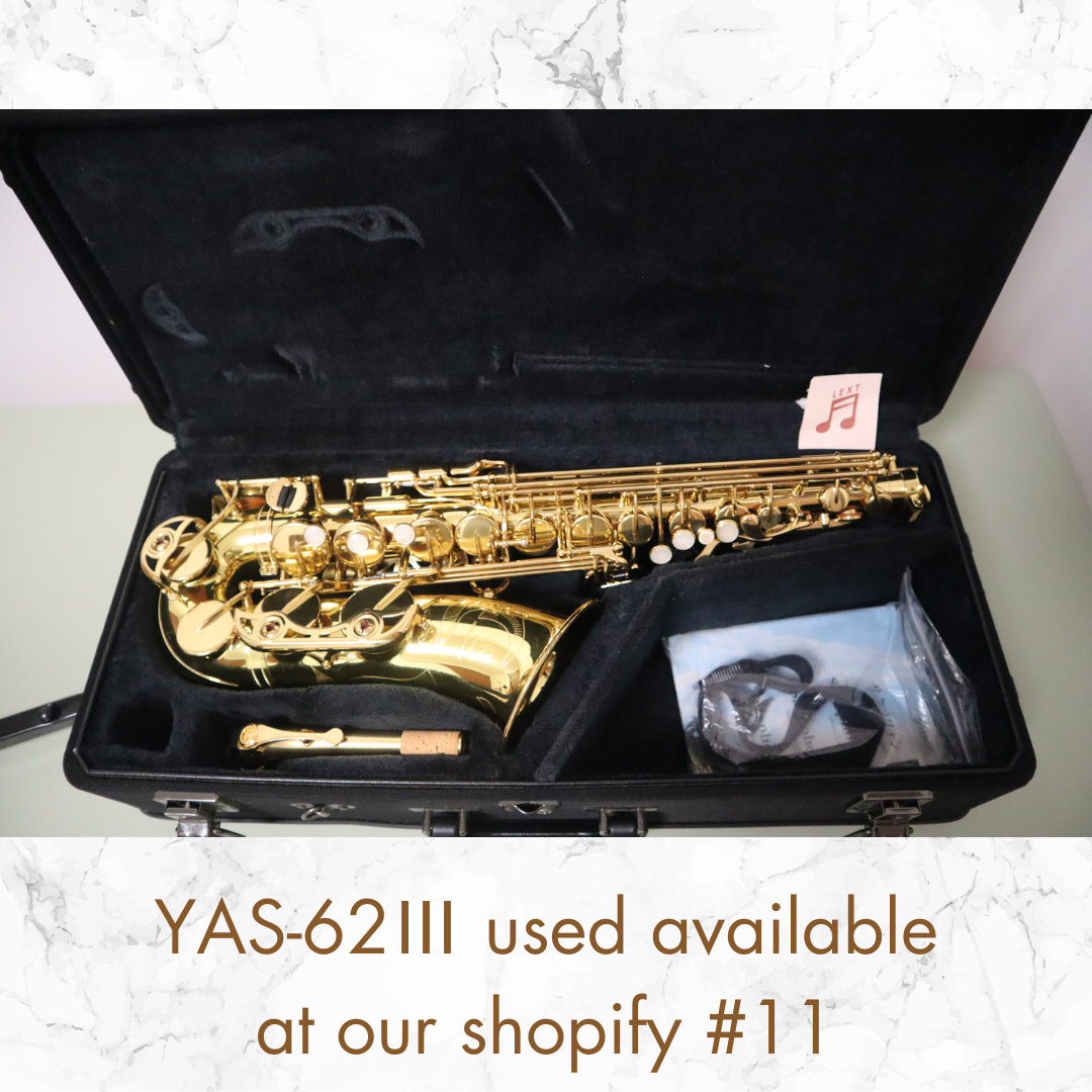 Yanagisawa AWO10 (A-WO10) Elite Alto Saxophone USED GREAT, JAPAN In Stock #14