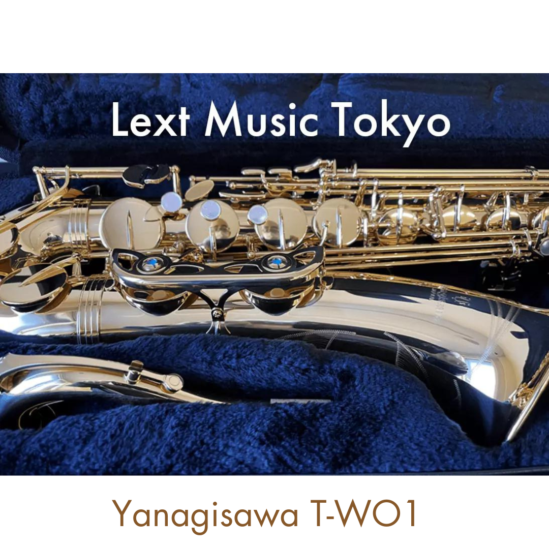T-WO1 Tenor Saxophone TWO1 Bronze Brand New In stock Yanagisawa