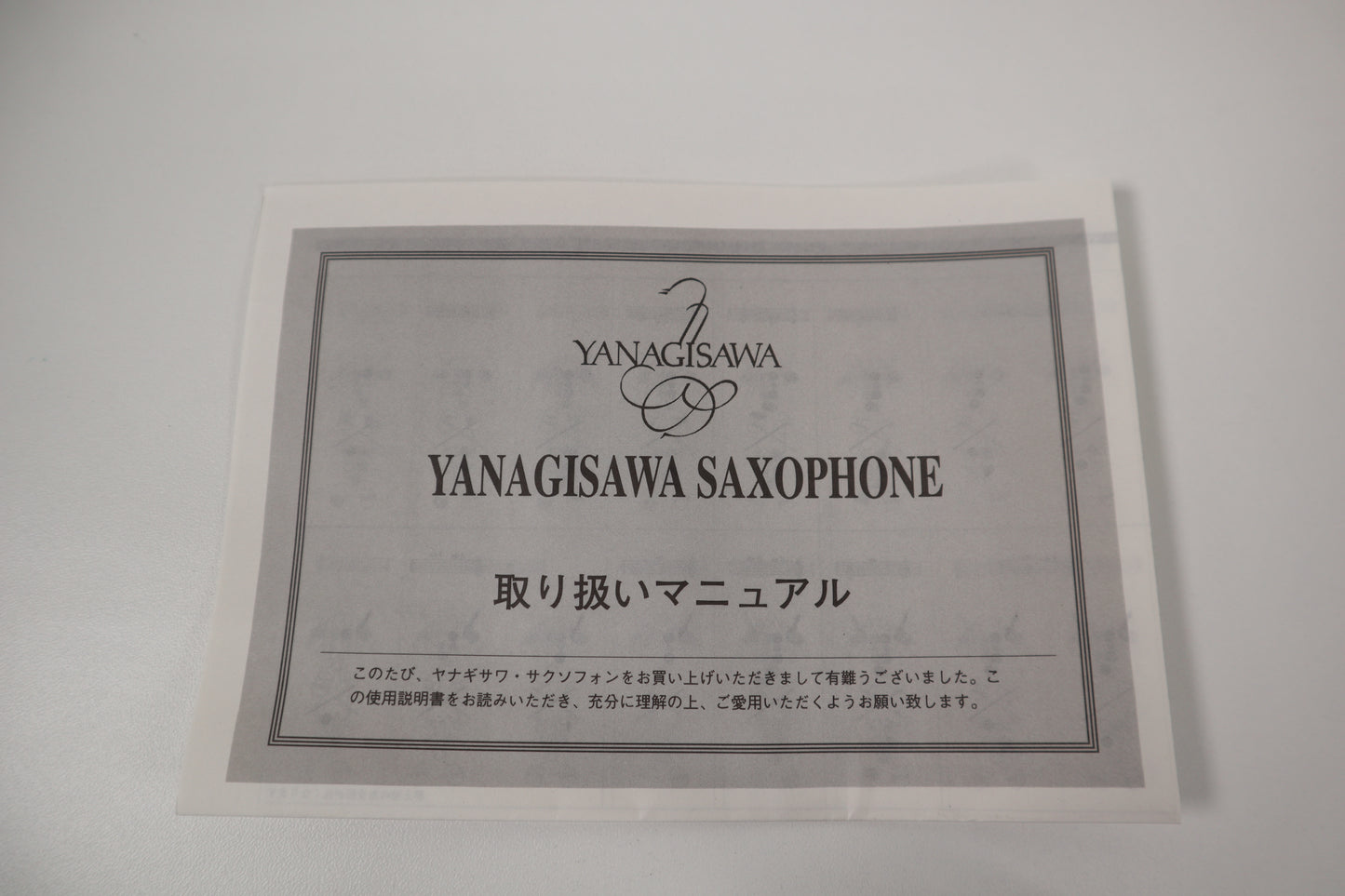 Yanagisawa A-901 Alto Saxophone 00222458 Excellent made in Japan In Stock #138