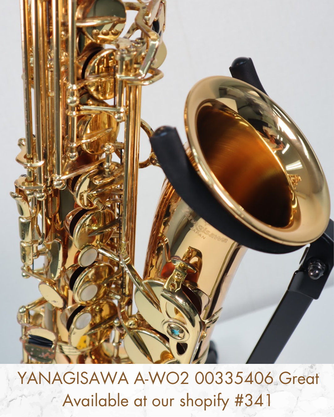 YANAGISAWA A-WO2 00335406 Great