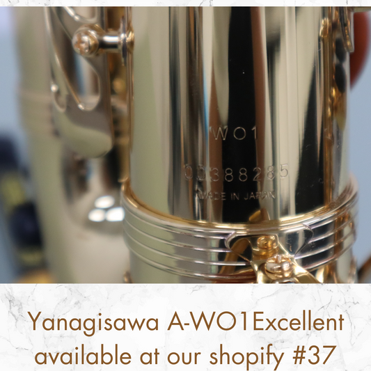 Yanagisawa A-WO1 Alto Saxophone, Excellent(00388285) MADE IN JAPAN In Stock #37