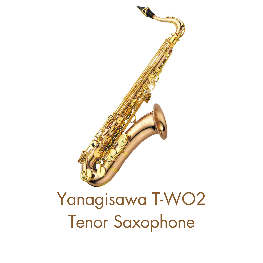 T-WO2 Tenor Saxophone TWO2 Bronze Brand New