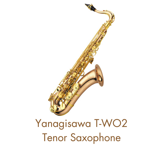 T-WO2 Tenor Saxophone TWO2 Bronze Brand New
