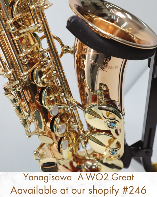 Yanagisawa A-WO2 Alto Saxophone 00393879 Great Made in Japan #246