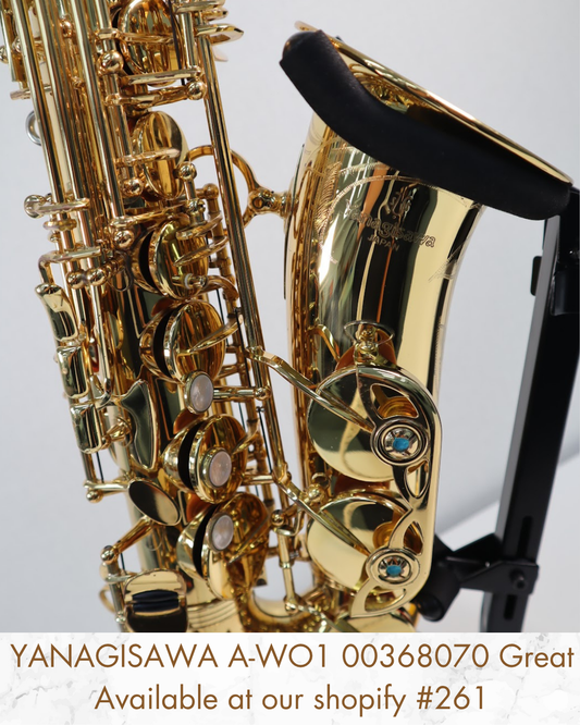 Yanagisawa A-WO1 Alto Saxophone 00368070 Great Made in Japan #261
