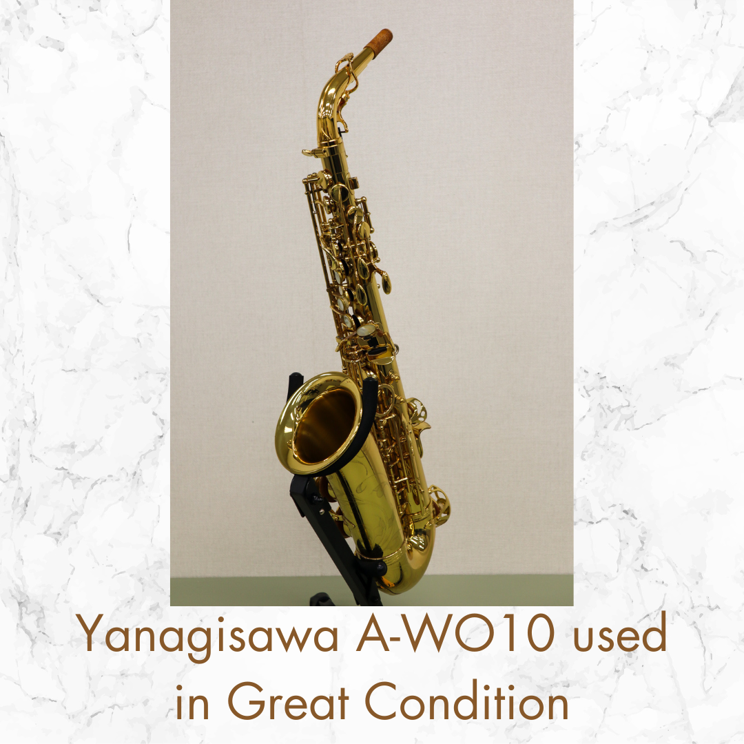 Yanagisawa AWO10 (A-WO10) Elite Alto Saxophone USED GREAT, JAPAN In Stock #14