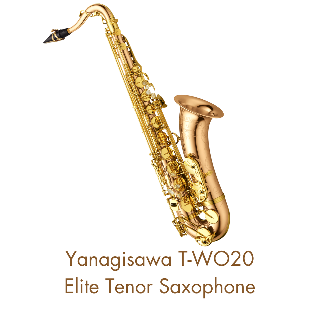 T-WO20 (TWO20) Bronze Elite Professional Tenor Saxophone Brand New