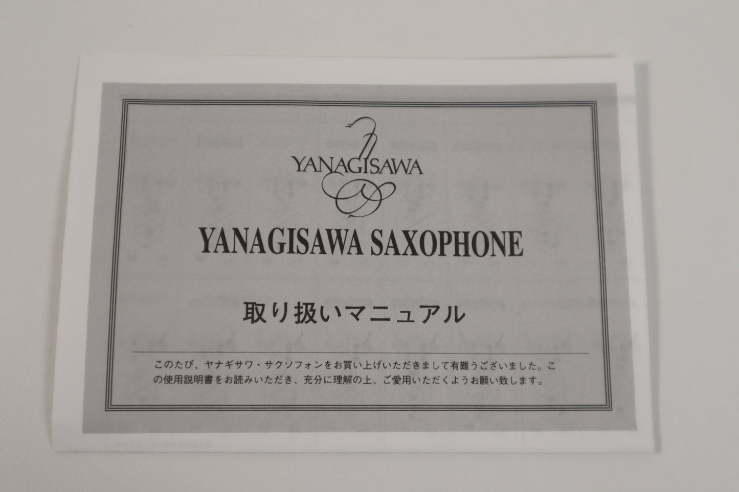 Yanagisawa A-902 Alto Saxophone 00310984 Excellent Made in Japan #230