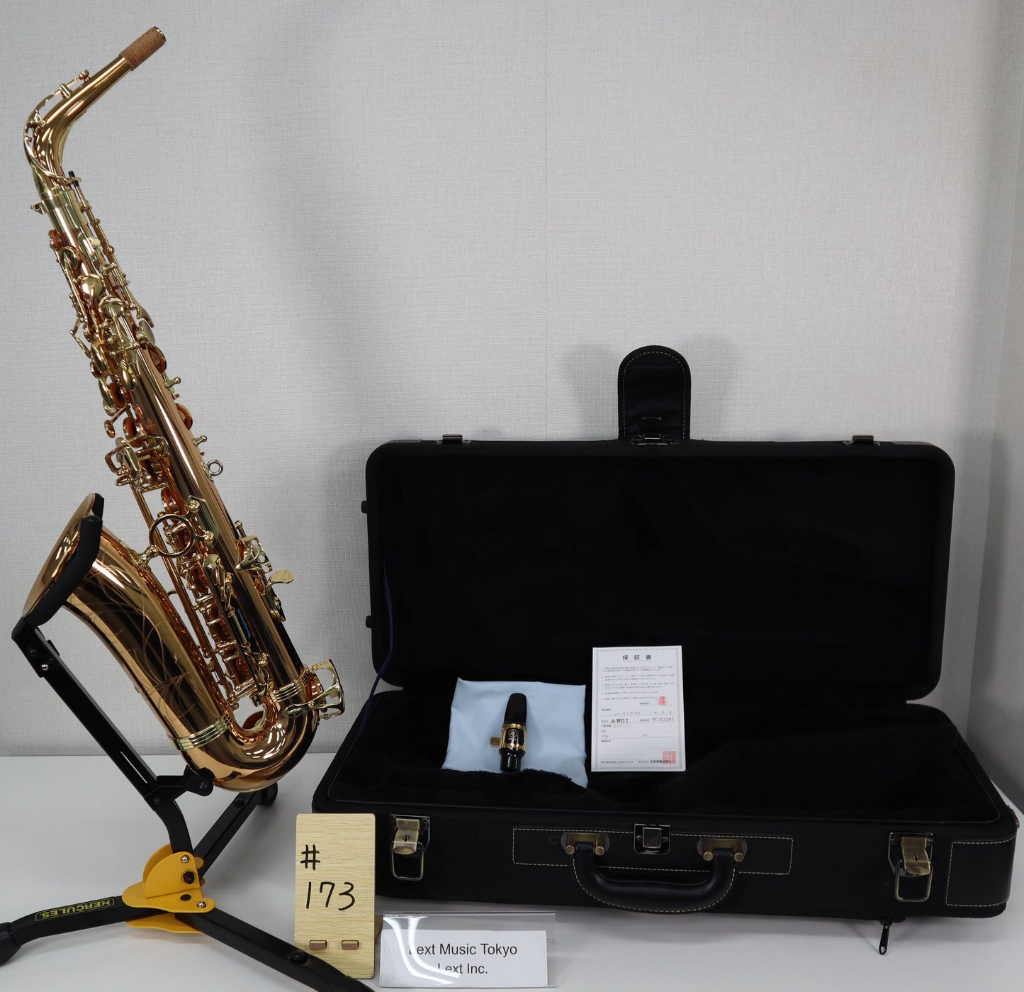 Yanagisawa A-WO2 Alto Saxophone 00382105 Excellent Made in Japan in stock #173