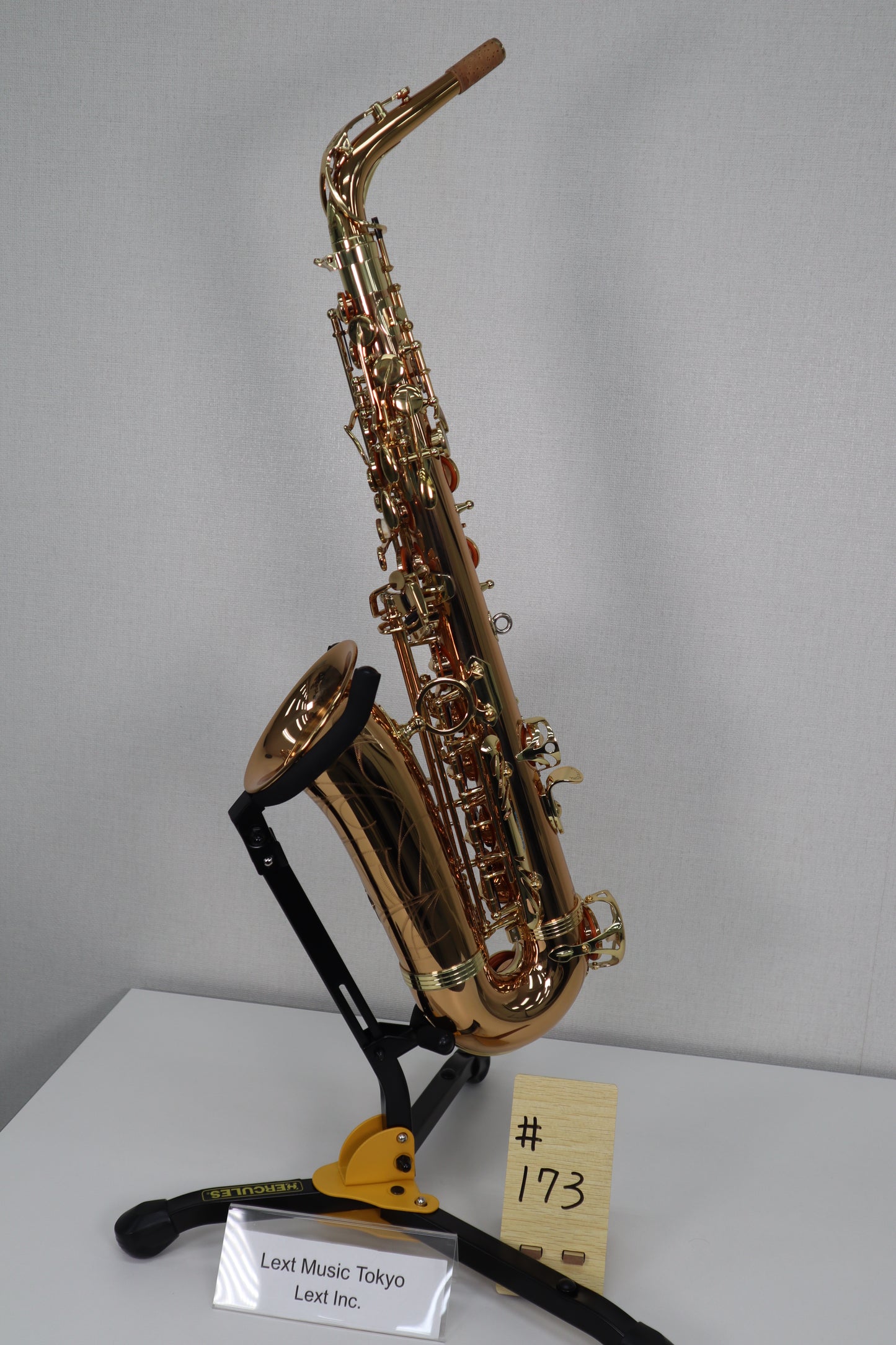 Yanagisawa A-WO2 Alto Saxophone 00382105 Excellent Made in Japan in stock #173