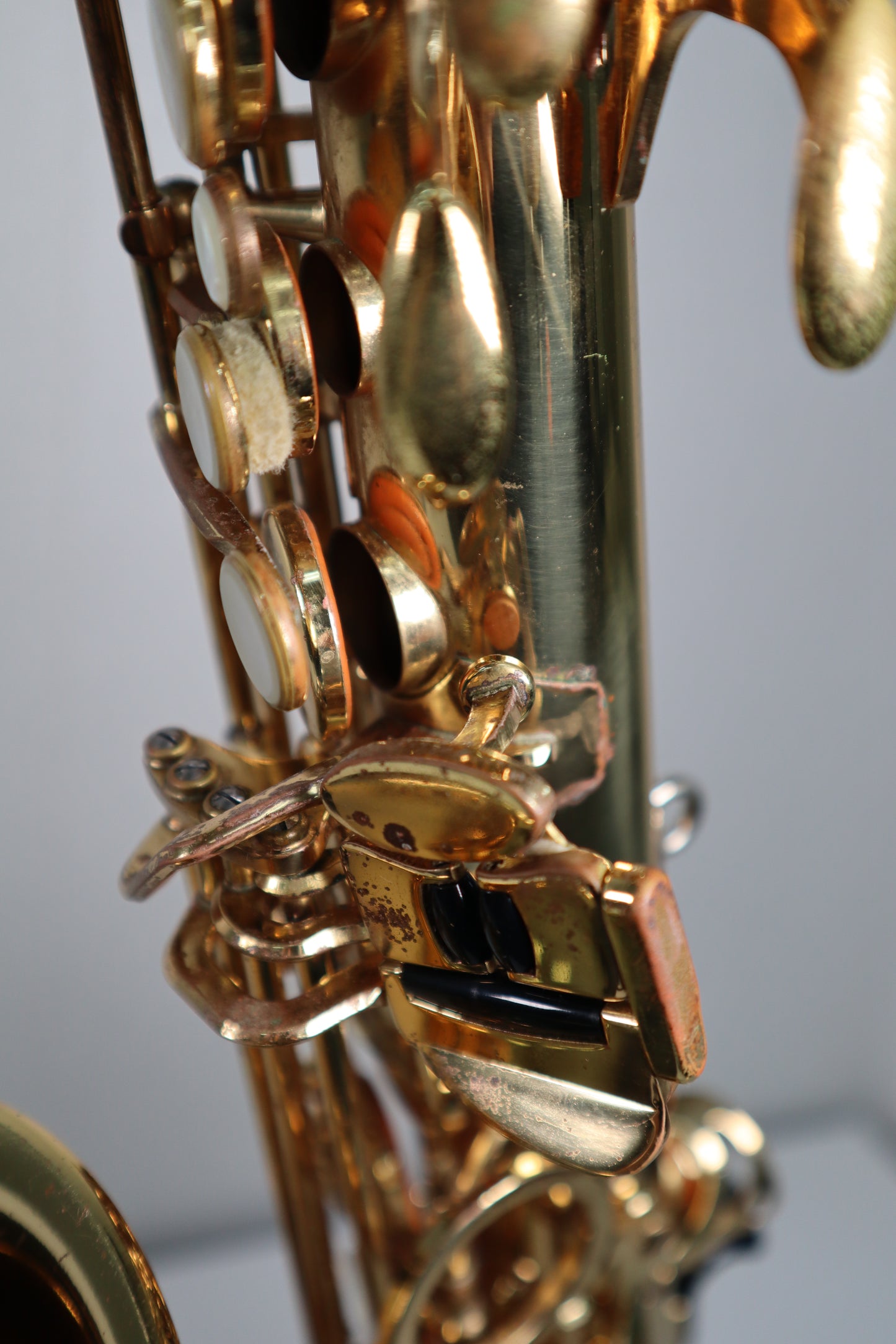 Yanagisawa A-901 Special Prima Alto Saxophone 00232498 Great #216