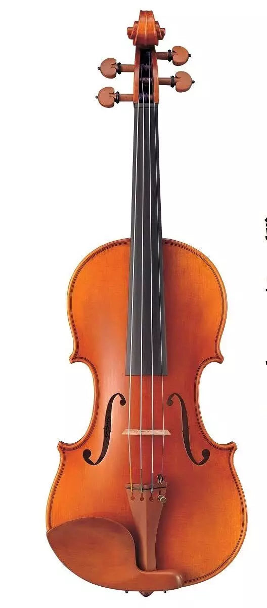 Violin Set / YAMAHA V20SG Braviol / Case, Bow great set for beginners